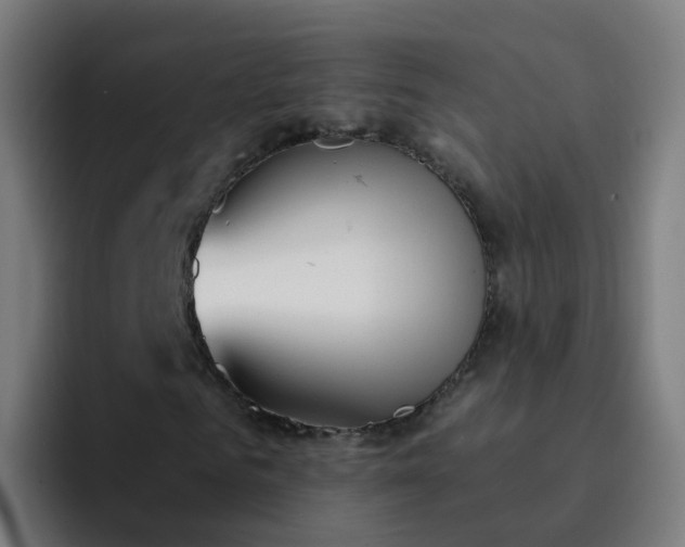 X0000094920961200712061106