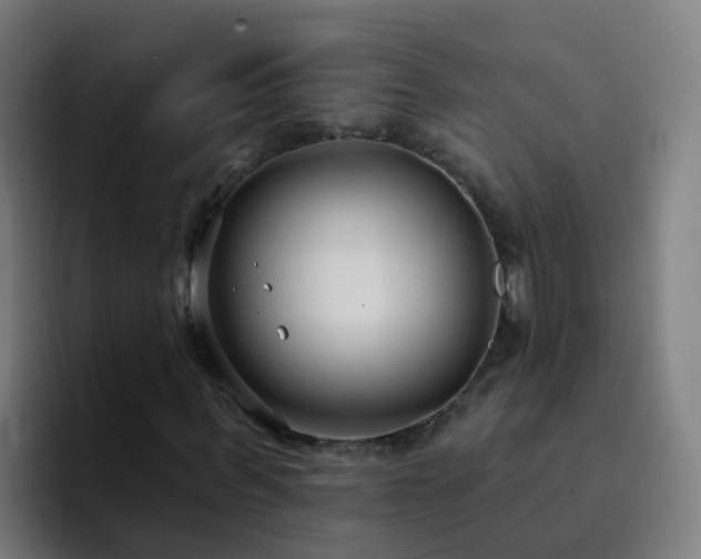 X0000094920963200712061106