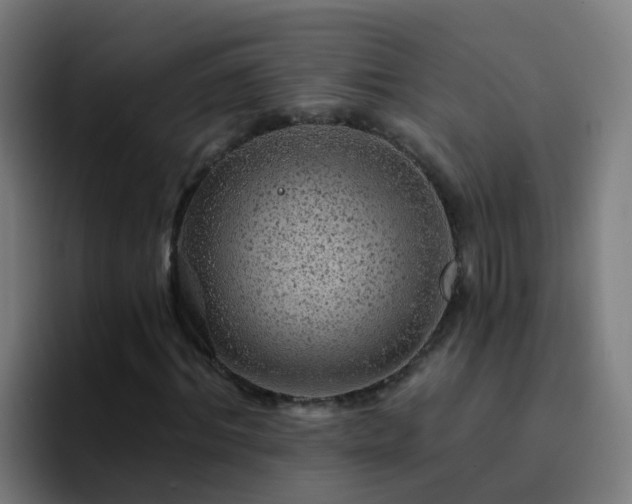 X0000094920964200712061106