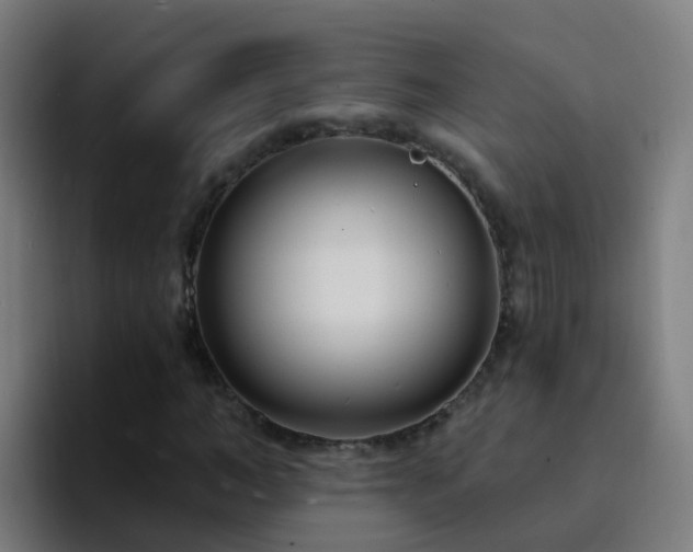 X0000094920966200712061106