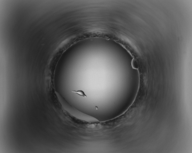 X0000094920968200712061105