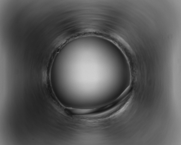 X0000094920969200712061105