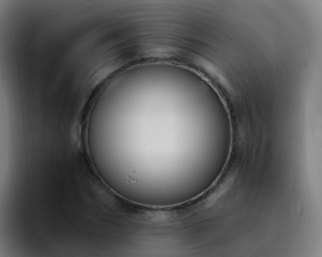 X0000094920970200712061105