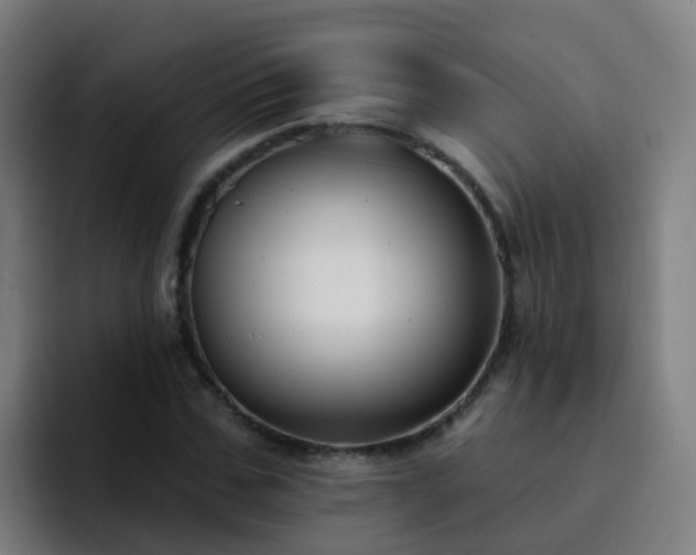 X0000094920971200712061105