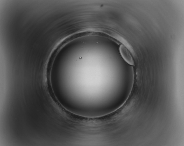 X0000094920972200712061105