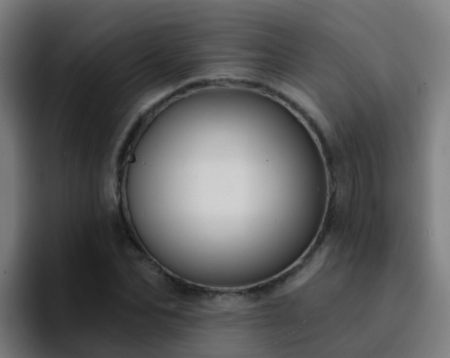 X0000094920974200712061105