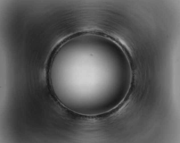 X0000094920975200712061105