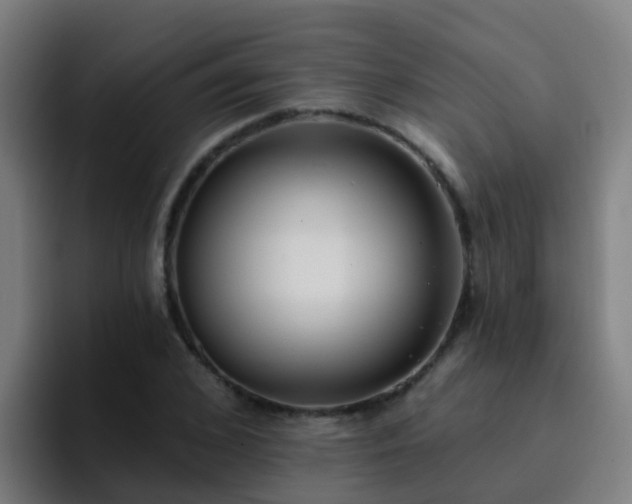 X0000094920976200712061105