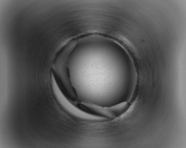 X0000094920977200712061105