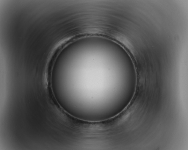 X0000094920979200712061105