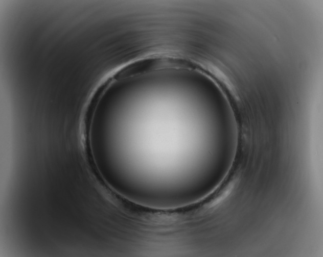 X0000094920981200712061105