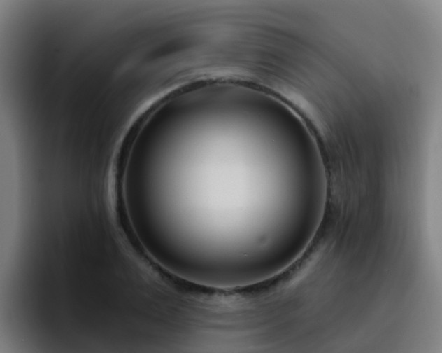 X0000094920983200712061105