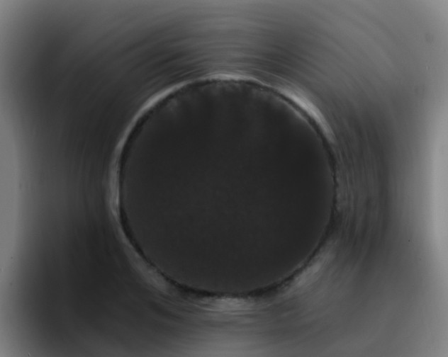 X0000094920984200712061105