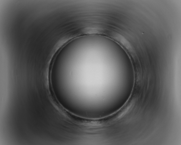 X0000094920986200712061105