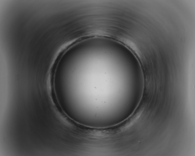 X0000094920987200712061105