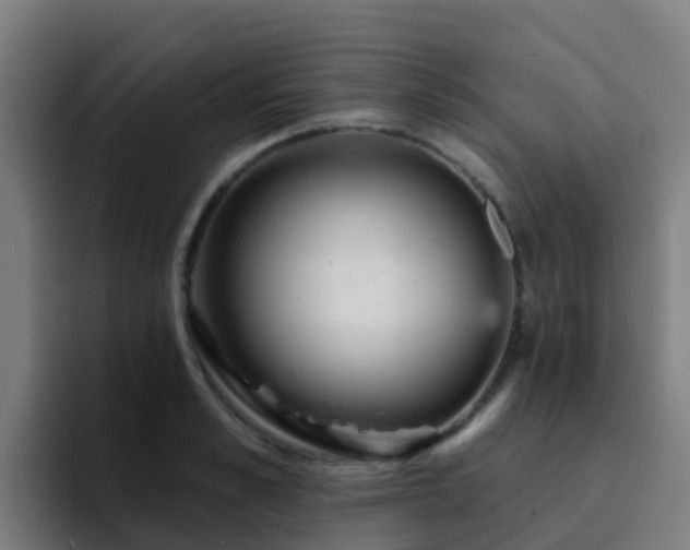 X0000094920989200712061105