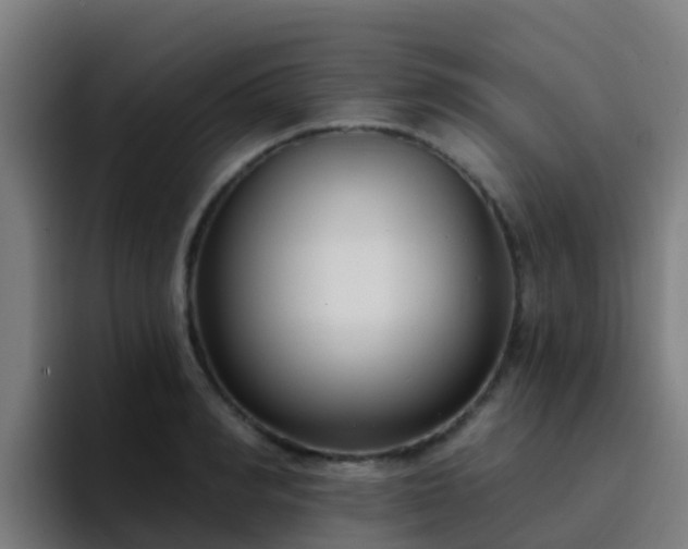 X0000094920990200712061105