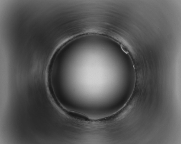 X0000094920991200712061105