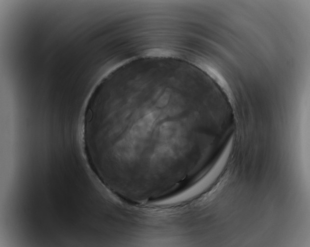 X0000094920992200712061105