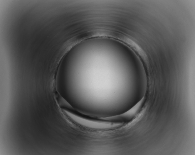 X0000094920993200712061105