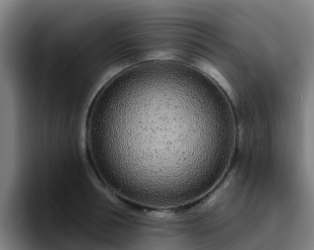 X0000094920994200712061105