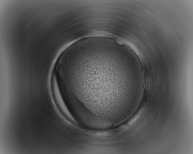 X0000094920995200712061105