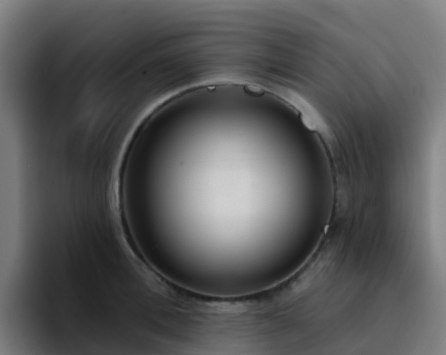 X0000094920996200712061105