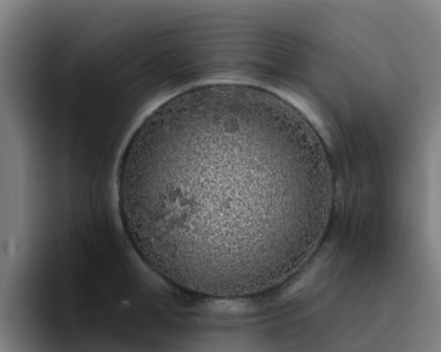 X0000094920998200712061105