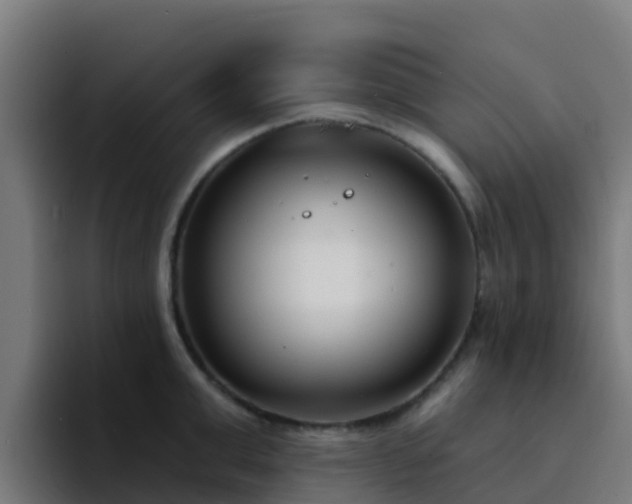 X0000094920999200712061105