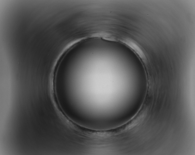 X0000094921000200712061105