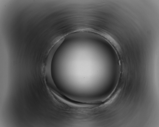 X0000094921001200712061105