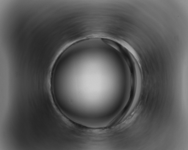 X0000094921005200712061105