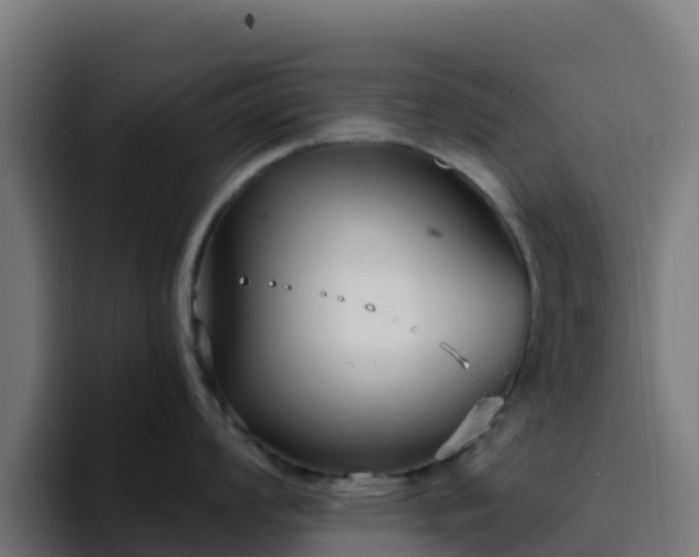 X0000094921008200712061105