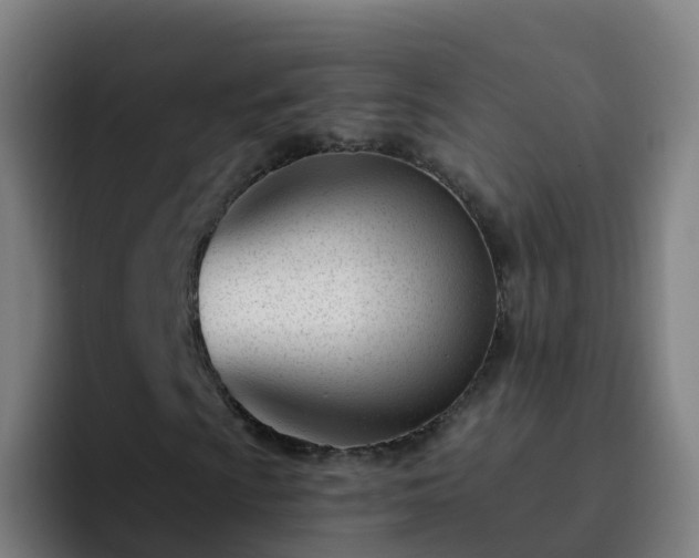 X0000094921009200712061104