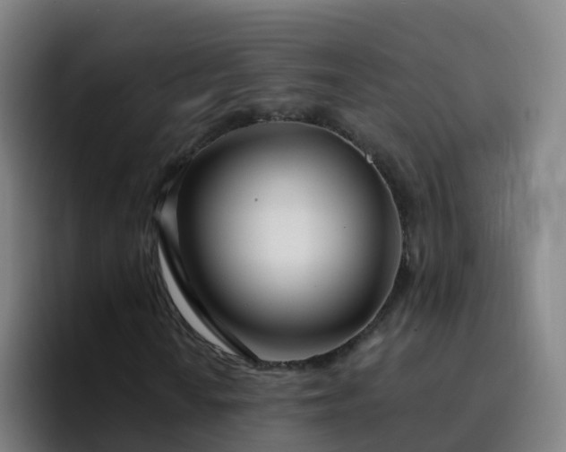 X0000094921010200712061104