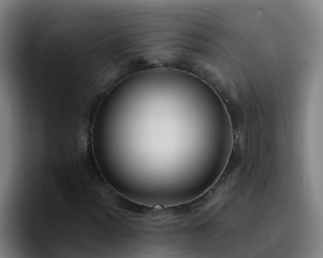 X0000094921012200712061104