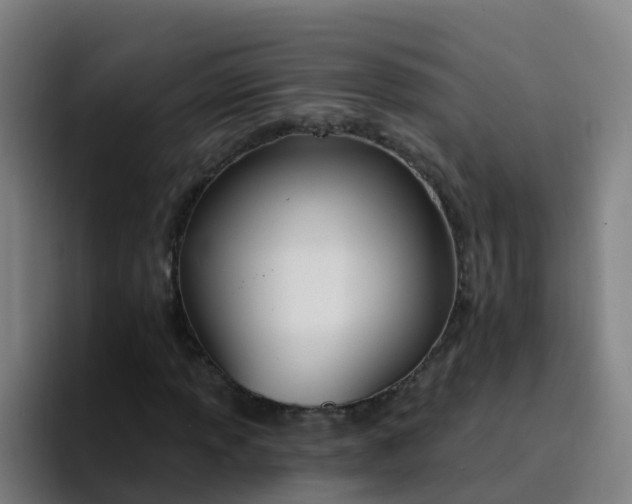 X0000094921013200712061104