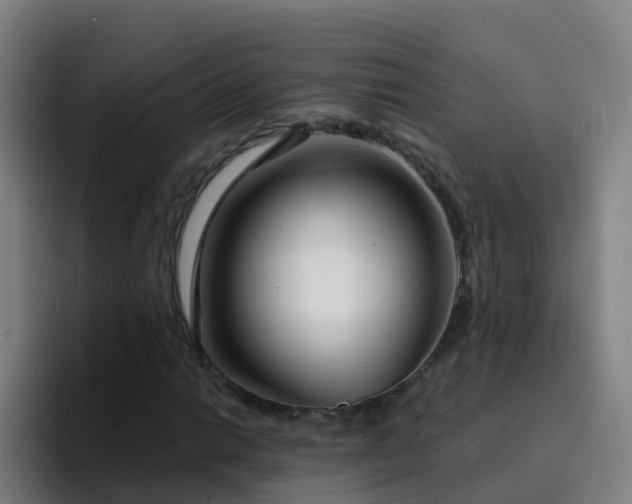 X0000094921014200712061104