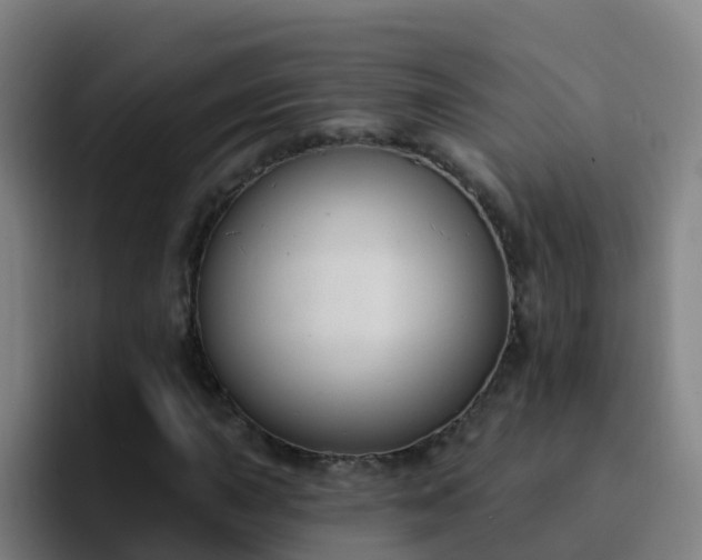 X0000094921015200712061104