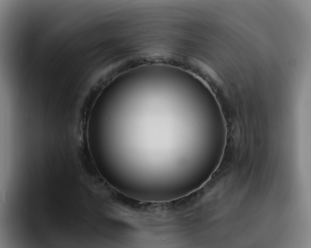 X0000094921016200712061104