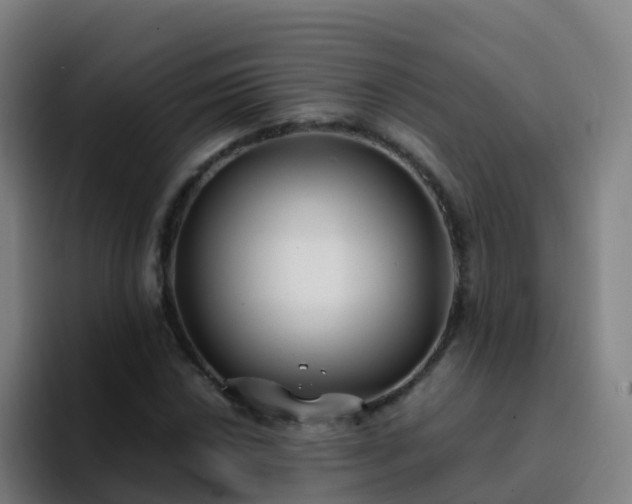 X0000094921018200712061104