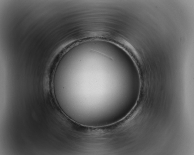 X0000094921019200712061104