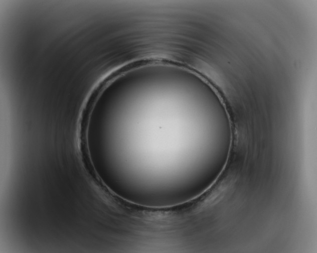 X0000094921020200712061104