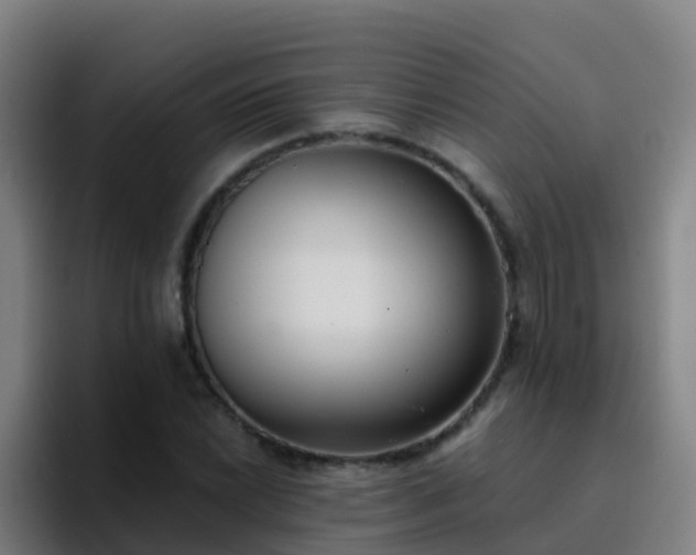 X0000094921022200712061105