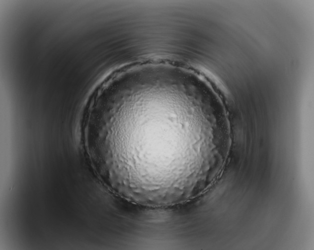 X0000094921023200712061105