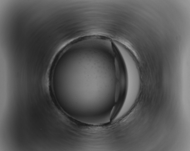 X0000094921024200712061105