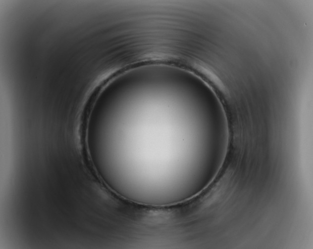 X0000094921026200712061105