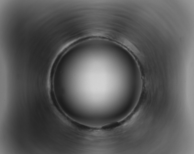 X0000094921028200712061105