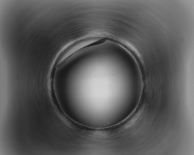 X0000094921029200712061105