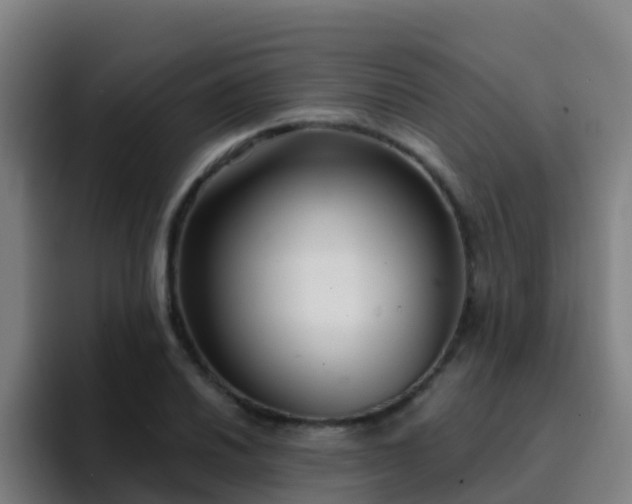 X0000094921030200712061105